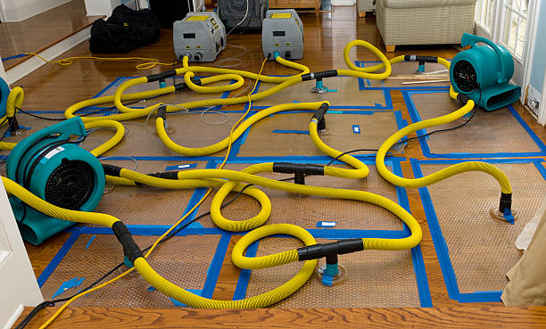 Professional Water Extraction technician working in Riga, MI